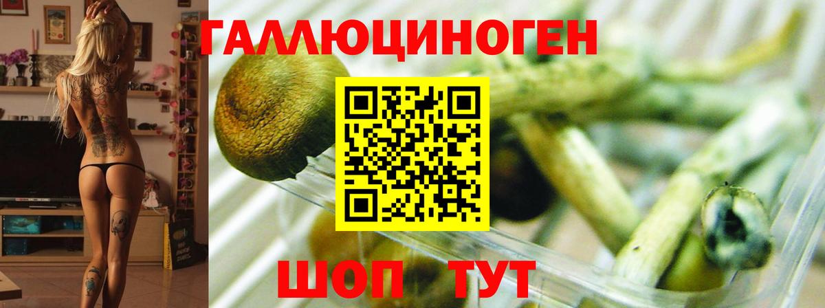 Галлюциногенные грибы Cubensis  Галлюциногенные грибы мухоморы  Камышлов  Вход с VPN 