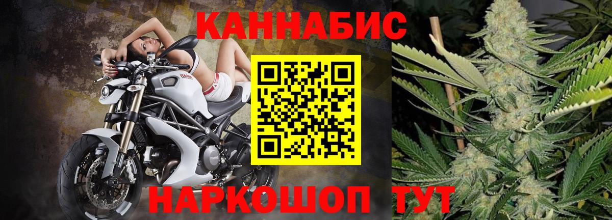 Бошки марихуана план  Конопля индика  Каннабис LSD WEED  Вход с VPN  Камышлов 